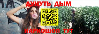 шишки Кинель